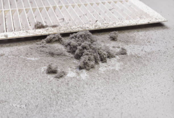 Best Affordable Duct Cleaning Services  in Wellston, MO