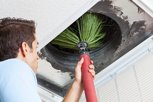 Best HVAC System Cleaning  in Wellston, MO